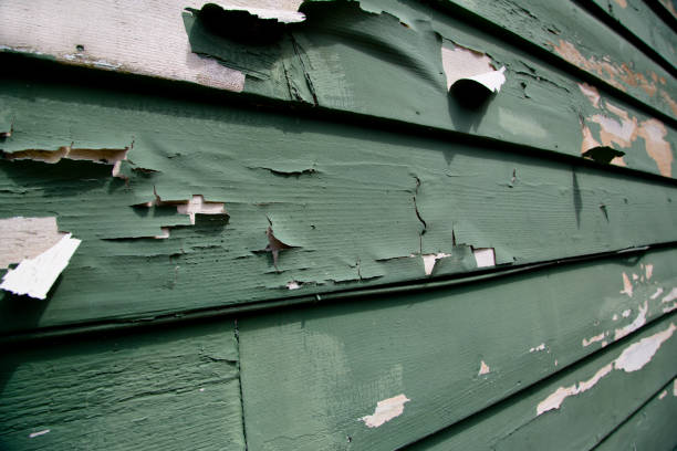 Best Shed Removal  in Bay Minette, AL