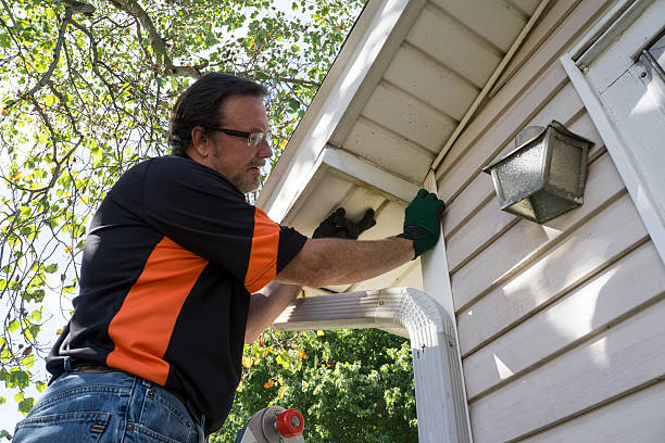 Best Hoarding Cleanup  in Bay Minette, AL